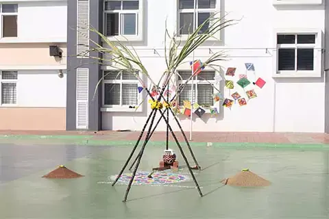 makara-sankranti